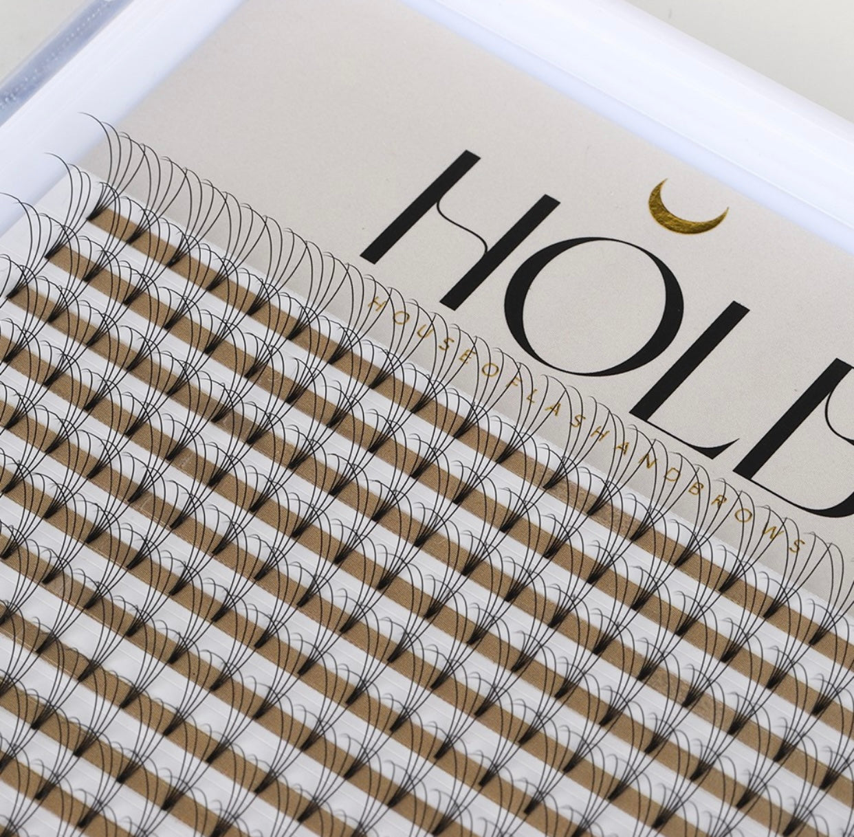 Mega 4D 0.10 Premade Lash Tray