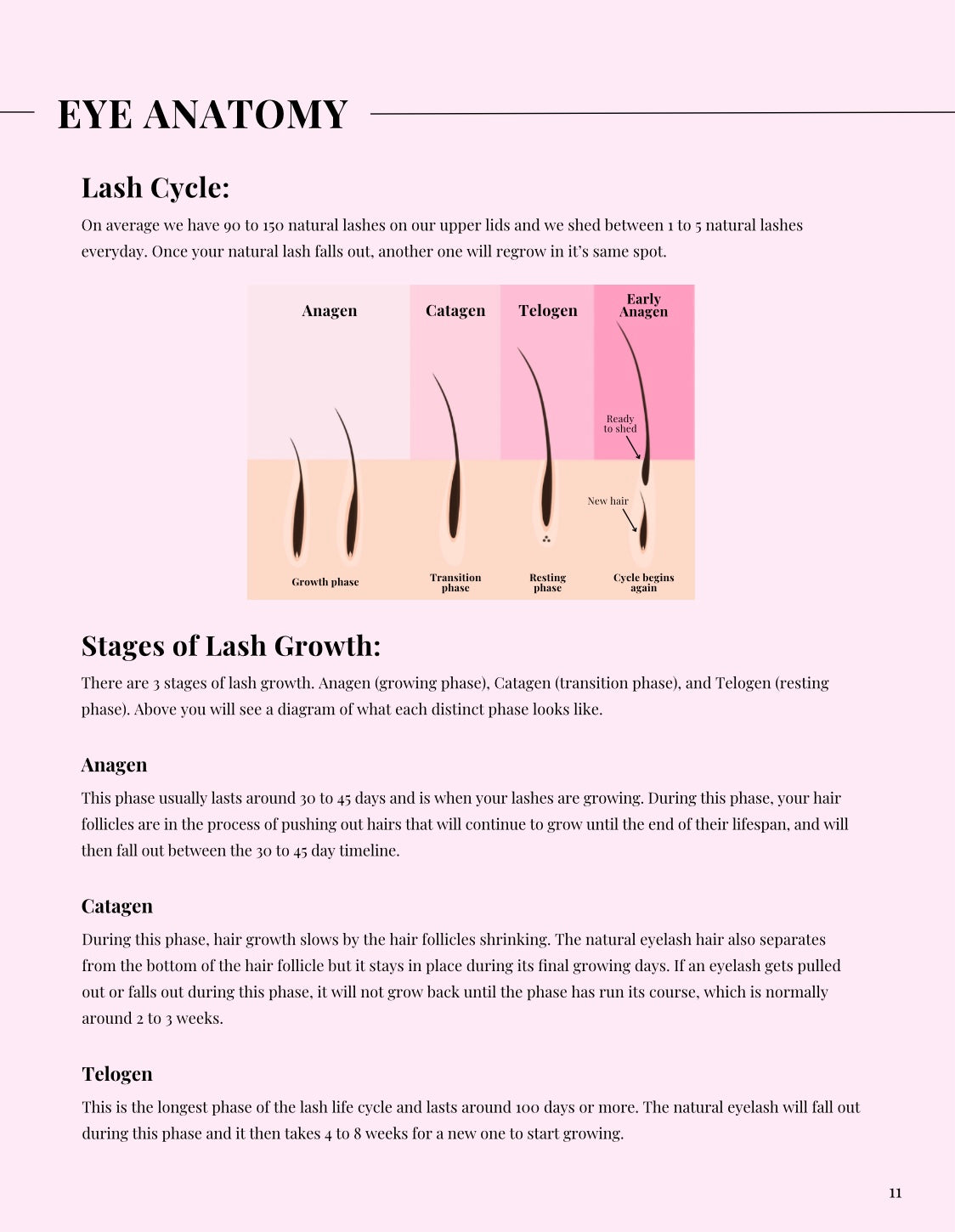 Online Lash Extension Course + Kit