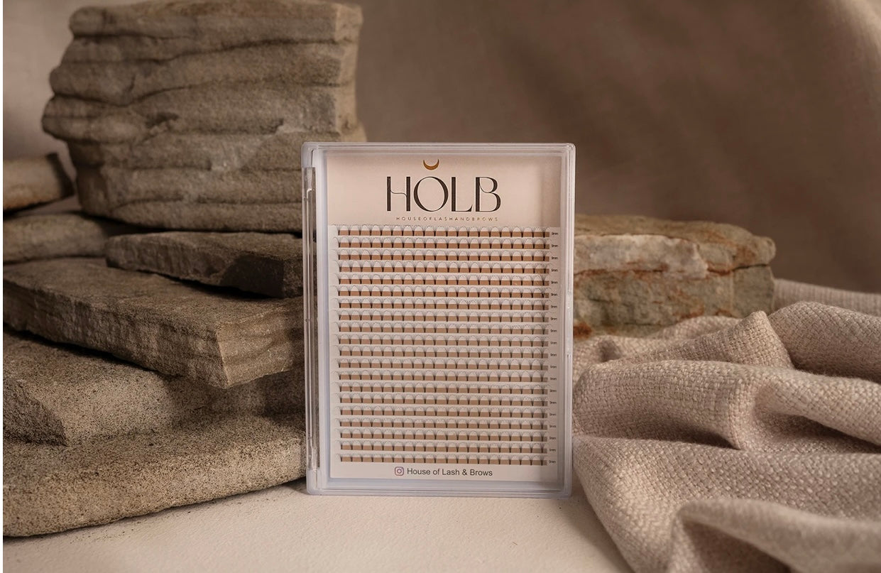 Mega 6D Premade Lash Tray House of Lash and Brows